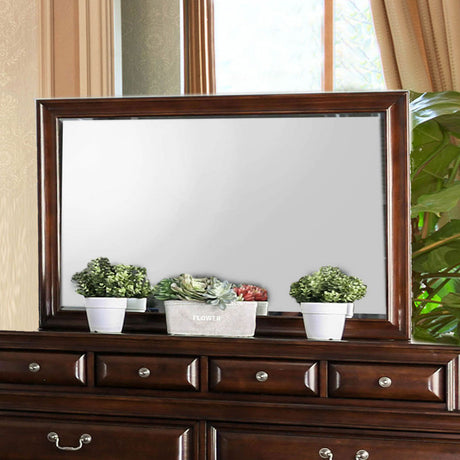 Brandt Brown Cherry Mirror (Mirror Only) from Furniture of America - Luna Furniture
