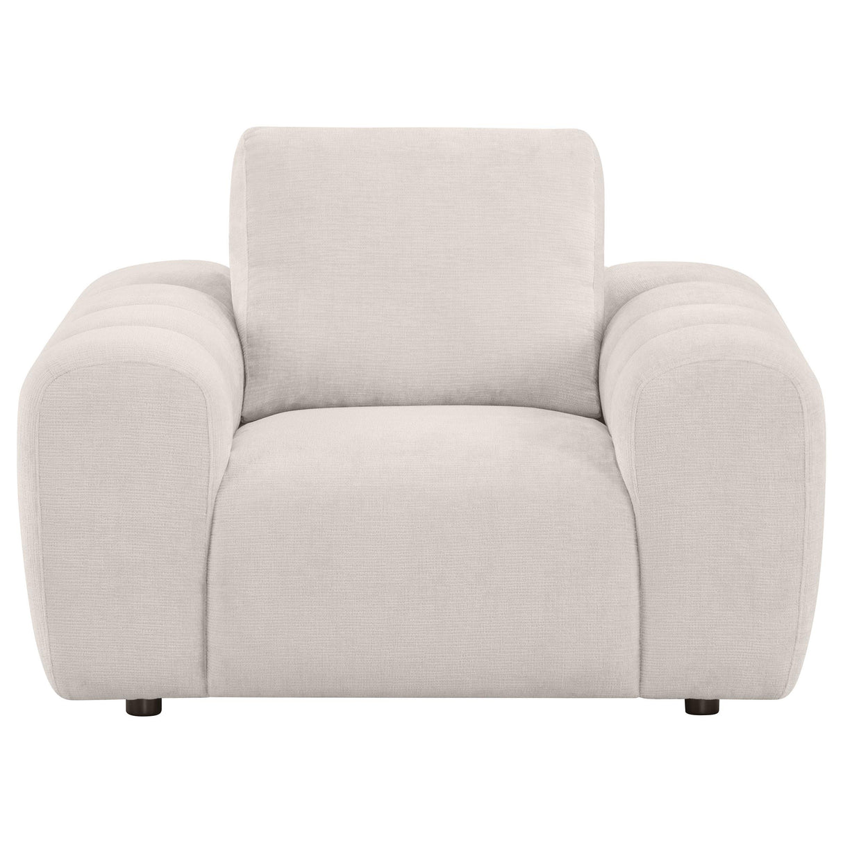Burnett Ivory Chenille Upholstered Accent Chair from Coaster - Luna Furniture