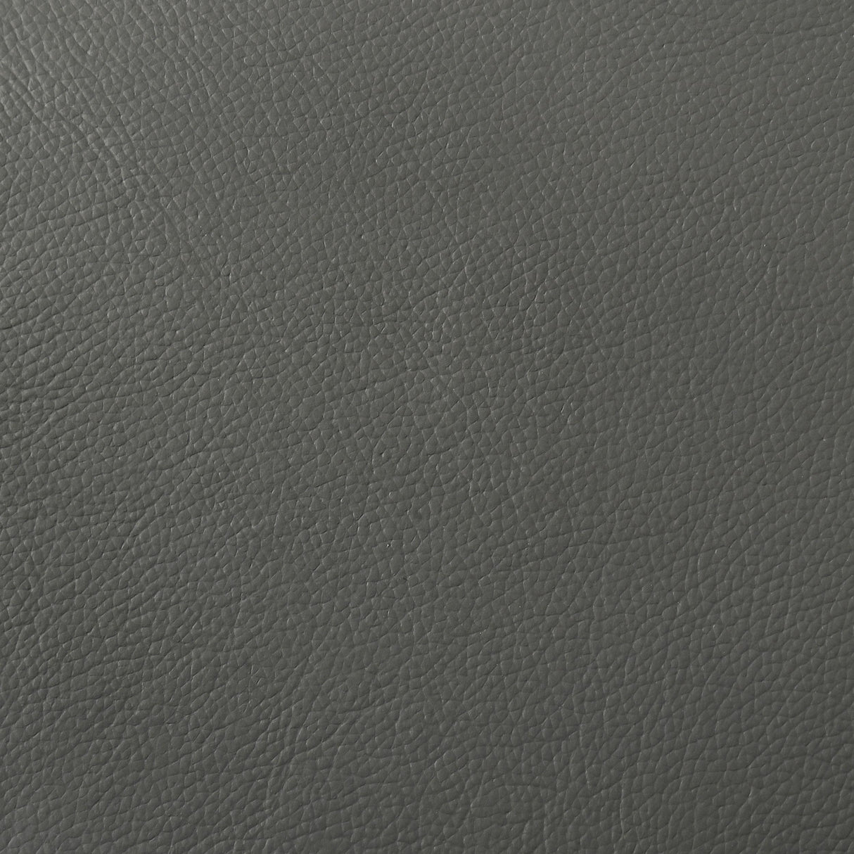 Buxton Graphite Top Grain Leather Upholstered Loveseat from Coaster - Luna Furniture