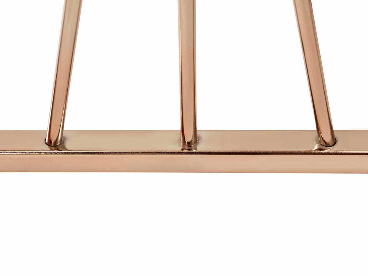 Sherbrooke Gold Sofa Table from Furniture of America - Luna Furniture