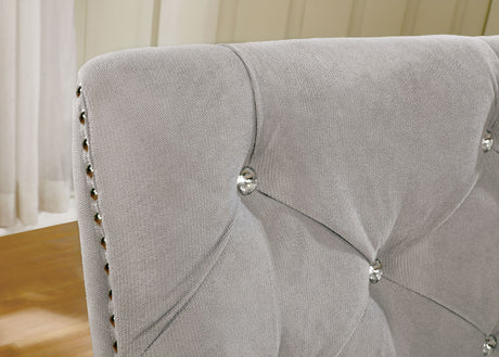 Diocles Silver/Gray Side Chair from Furniture of America - Luna Furniture