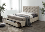 Sybella Beige King Bed from Furniture of America - Luna Furniture
