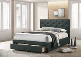 Sybella Dark Gray Twin Bed from Furniture of America - Luna Furniture
