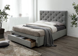 Sybella Gray California King Bed from Furniture of America - Luna Furniture