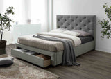 Sybella Gray Twin Bed from Furniture of America - Luna Furniture