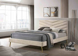 Vivar Beige Queen Upholstered Bed from Furniture of America - Luna Furniture