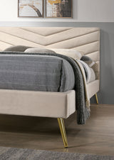 Vivar Beige King Upholstered Bed from Furniture of America - Luna Furniture
