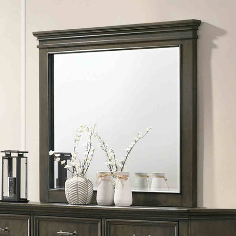 Houston Gray Mirror (Mirror Only) from Furniture of America - Luna Furniture