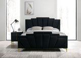 Florizel Black/Gold Upholstered Queen Bed from Furniture of America - Luna Furniture