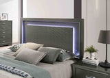 Alison Metallic Gray 5 Pc Queen Bedroom Set from Furniture of America - Luna Furniture