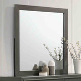 Alison Metallic Gray 5 Pc Queen Bedroom Set from Furniture of America - Luna Furniture