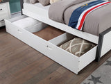 Priam White/Gray Twin Bed from Furniture of America - Luna Furniture