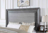 Raiden Gray 5 Pc Queen Bedroom Set from Furniture of America - Luna Furniture