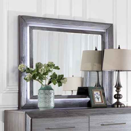 Raiden Gray Mirror (Mirror Only) from Furniture of America - Luna Furniture