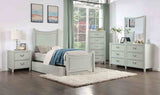 Lycorida Gray Chest from Furniture of America - Luna Furniture