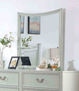 Lycorida Gray Mirror (Mirror Only) from Furniture of America - Luna Furniture