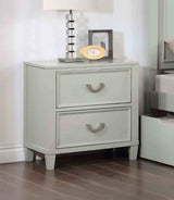 Lycorida Gray Night Stand from Furniture of America - Luna Furniture