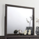 Conwy Gray Mirror (Mirror Only) from Furniture of America - Luna Furniture