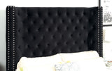 Rosabelle Black Queen Bed from Furniture of America - Luna Furniture