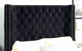 Rosabelle Black Queen Bed from Furniture of America - Luna Furniture