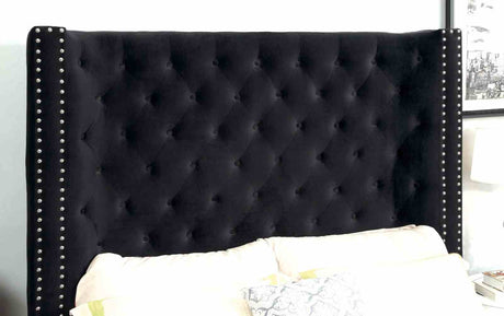 Rosabelle Black Queen Bed from Furniture of America - Luna Furniture