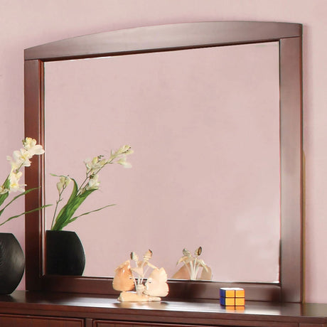 Omnus Cherry Mirror (Mirror Only) from Furniture of America - Luna Furniture