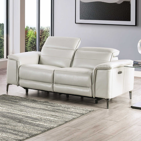 Ascona Light Taupe Power Loveseat from Furniture of America - Luna Furniture