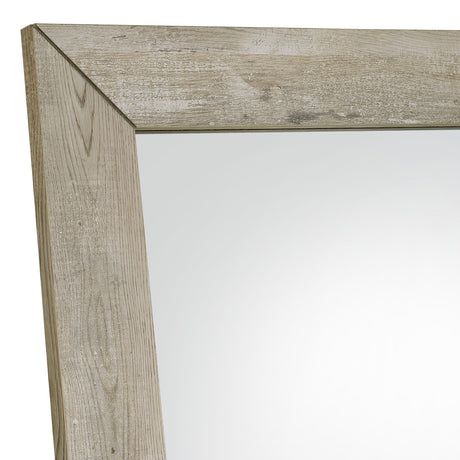 Cadence Gray Tempered Glass Washed Oak Full Length Standing Mirror from Coaster - Luna Furniture