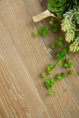 Canal Extension Dining Table from Essentials For Living - Luna Furniture