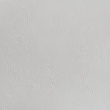 Cassia White High Gloss Queen LED Panel Bed from Coaster - Luna Furniture