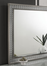 Cassiopeia Metallic Gray Rect Mirror (Mirror Only) from Furniture of America - Luna Furniture