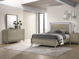 Rainier Gray 4-Piece Queen Bedroom Set