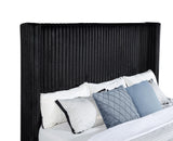 Centergrove Black Upholstered Queen Wingback TV Bed from Coaster - Luna Furniture