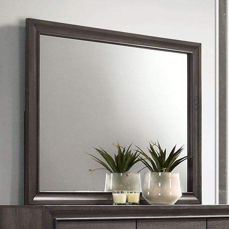 Chrissy Gray Mirror (Mirror Only) from Furniture of America - Luna Furniture