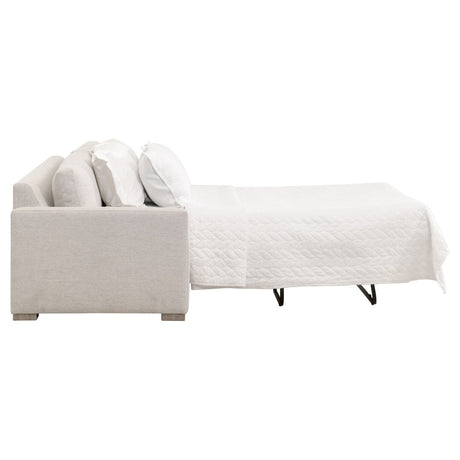 Clara 86" Slim Arm Queen Sleeper Sofa from Essentials For Living - Luna Furniture