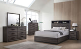 Conwy Gray Chest from Furniture of America - Luna Furniture