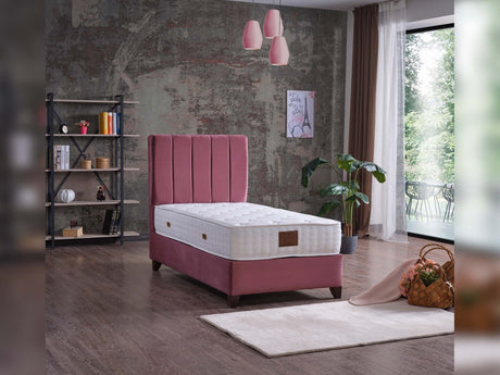 Cordoba Dusty Rose Queen Storage Bed with Headboard from Furnia - Luna Furniture