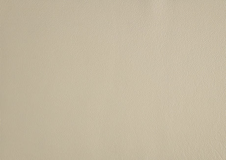 Crafton Beige Leather Accent Chair from Homelegance - Luna Furniture