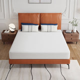 Forsythia White Mattress E.King from Furniture of America - Luna Furniture