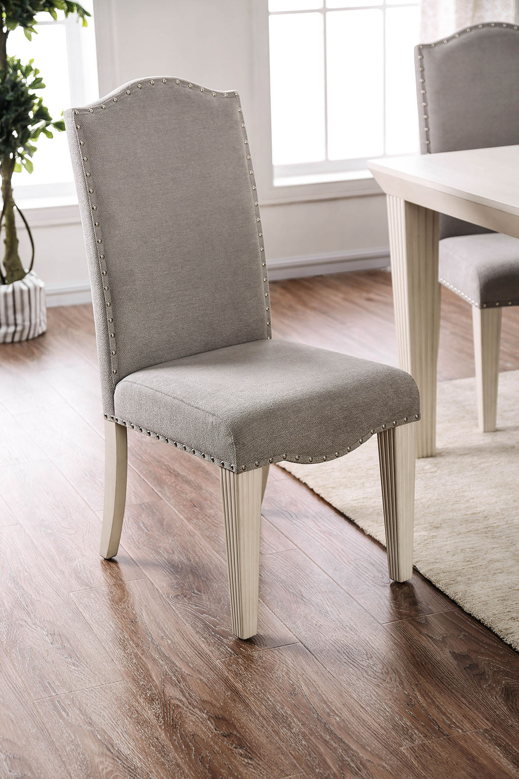 Daniella Antique White/Gray Side Chair from Furniture of America - Luna Furniture