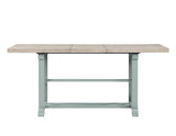 Darcy 64-82″Counter Table with 18-inch leaf, Mint Green and Natural Finish from Steve Silver - Luna Furniture