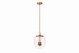 Delphi Pendant Lamp - Coarse Gold and Clear Glass from Ashcroft Furniture - Luna Furniture