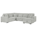 Devonshire Gray Sleeper Sectional Sofa Storage Chaise from Coaster - Luna Furniture