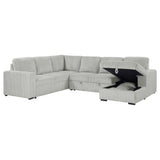 Devonshire Gray Sleeper Sectional Sofa Storage Chaise from Coaster - Luna Furniture