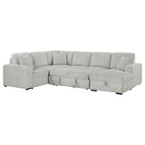 Devonshire Gray Sleeper Sectional Sofa Storage Chaise from Coaster - Luna Furniture