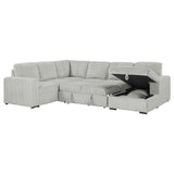 Devonshire Gray Sleeper Sectional Sofa Storage Chaise from Coaster - Luna Furniture