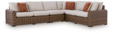 Dolan Creek Beige/Brown 4-Piece Outdoor Sectional from Ashley - Luna Furniture