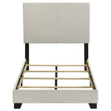 Dorian Cream Upholstered Twin Panel Bed from Coaster - Luna Furniture