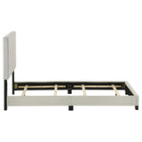 Dorian Cream Upholstered Twin Panel Bed from Coaster - Luna Furniture