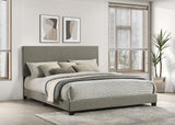 Dorian Taupe Upholstered California King Panel Bed from Coaster - Luna Furniture